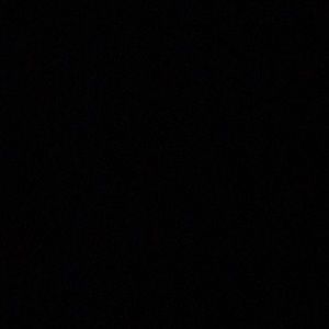 Meet your Posher, Preston